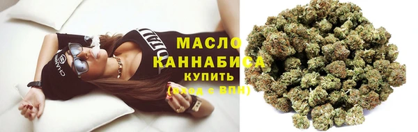 гидра Белоозёрский