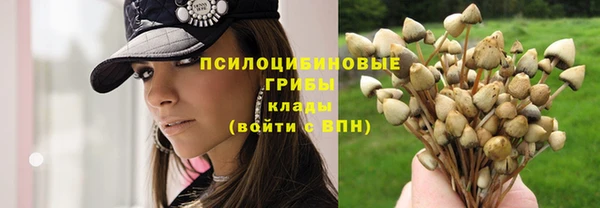 гидра Белоозёрский