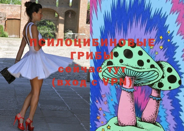гидра Белоозёрский
